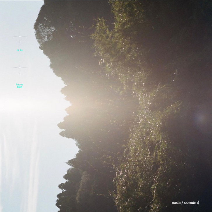 nada comun cover